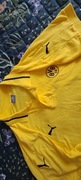 Bluzka, koszulka z kołnierzykiem  BVB Borussia Dortmund PUMA