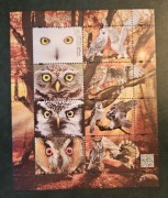 Blok 312 Fi: 4812 - 4815**. Polskie ptaki. Sowy /2./