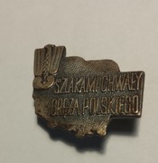 Odznaka Turystyczna PTTK Szlakami Chwały Oręża Polskiego