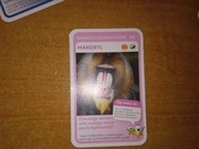 Najbardziej Efektowne Mandryl nr 98 Super Zwierzaki Biedronka