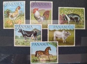 Fauna zwierzęta hodowlane ssak ptaki  Panama