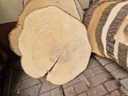 19 JESION 70/62/9 cm Blat Plaster Drewna Stolik Żywica Epoxy DIY Live Edge