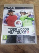 Tiger Woods PGA tour 11/10 