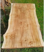 Topola kanadyjska monolit na piękny stół