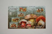 Niger Sw 3664-68** grzyby i skauting /ms/