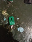 T B1016 ; tranzystor mocy