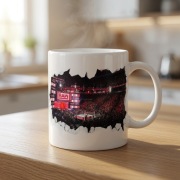 WWE RAW prezent dla fana wrestlingu wrestling kubek gadzet