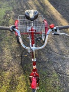 NOWY Rower rehabilitacyjny Tolek trójkołowy 20 cali z przerzutkami