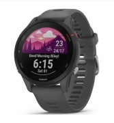 Garmin forerunner 255