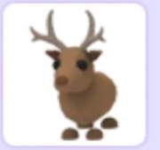 Reindeer | Roblox | Adopt me |