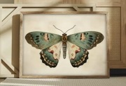 Plakat na materiale winylowym 40x60 cm Motyl boho