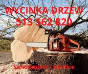 Wycinka drzew porządkowanie działki 