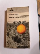 Drzewo białej morwy
