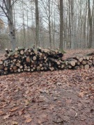 Drewno opałowe kominkowe Dąb 