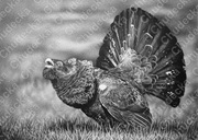 Portret ze zdjęcia na zamówienie