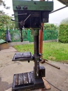 Wiertarka kolumnowa pk 203