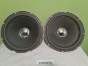 Głośniki Niskotonowe TONSIL GDN 30/100/11 8 Ohm (Altus 300)