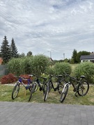 Sprzedam zestaw trzech rowerów