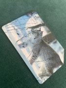 Karta telefoniczna TP Ryś