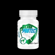 Probiotyk dla psa Game Dog Flora Protect 60 kaps