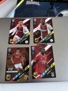 Adrenalin panini 365 2024r