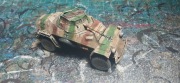 Bolt Action SDKFZ 222 DRUK