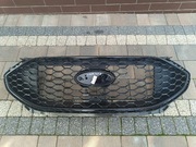 GRILL ATRAPA Ford Edge lift ST/STline