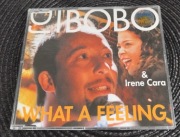 DJ Bobo & Irene Cara - What A Feeling 