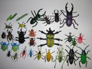 Owady insekty. Żuk chrząszcz gąsiennica guma plastik 29 szt 