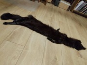 Czekoladowy szal z lisa