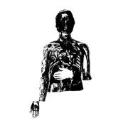 Terrapin – Killing HF Harlow