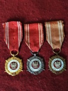 Odznaczenia Siły Zbrojne w Służbie Ojczyzny zestaw V,X,XX lat