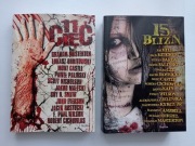 11 cięć + 15 blizn LEE KETCHUM HILL CASTLE