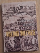 Wieczory wołyńskie Józef Ignacy  Kraszewski