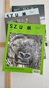 Szum Archiwalne numery Magazyn o sztuce Historia sztuki Sztuka polska