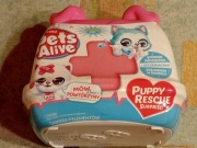 Pet activ szczeniak niespodzianka