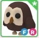 Owl FR Adopt Me Roblox