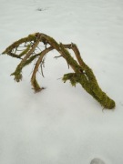 Ozdoba terrarium akwarium XXL 100 cm kora korzeń jaskinia naturalne 