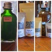 Oczyszczanie Piołun, Goździki na pasożyty Hulda Clark