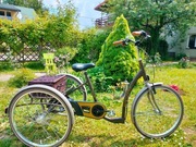 Rower Trójkołowy Vintage - Stan bardzo dobry