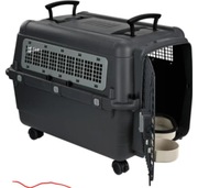 Transporter L anione