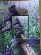 Puzzle Cobble Hill 1000 Raven Randezvouse