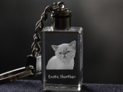 Exotic Shorthair brelok sześcienny Świecący