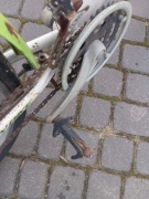 Rower damka dla dziecka 