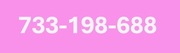 733-198-688 ZŁOTY NUMER STARTER PLAY NA KARTĘ PREPAID 