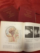 Atlas de anatomia humana R.D. Sinelnikov