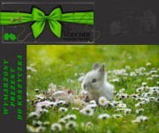 EXTRA VOUCHER - PREZENT WIELKANOCNY - 3noce/ 2os. NOCLEGI POD BABIĄ GÓRĄ