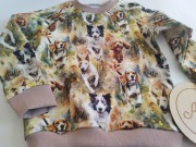 Bluza bawełniana psy Border collie, Bulterier, Beagle 