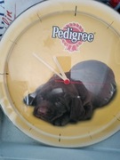 Pedigree zegar scienny