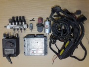 BRC Sequent FLY SF - Sekwencja LPG 4 cyl